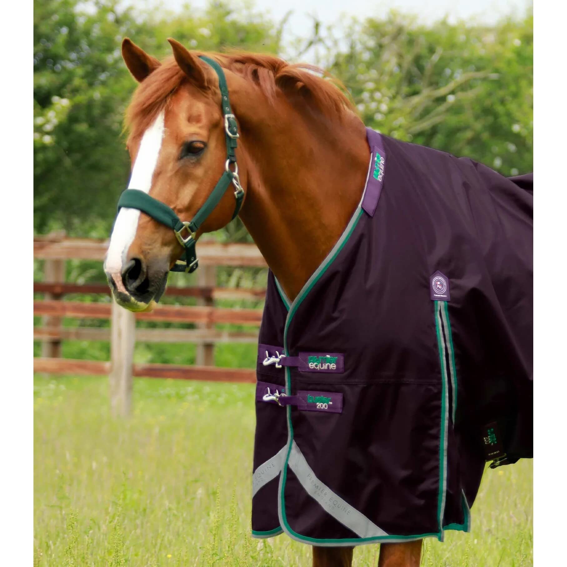 Premier Equine Cubierta exterior impermeable para caballo con cubierta de cuello Buster 200 g
