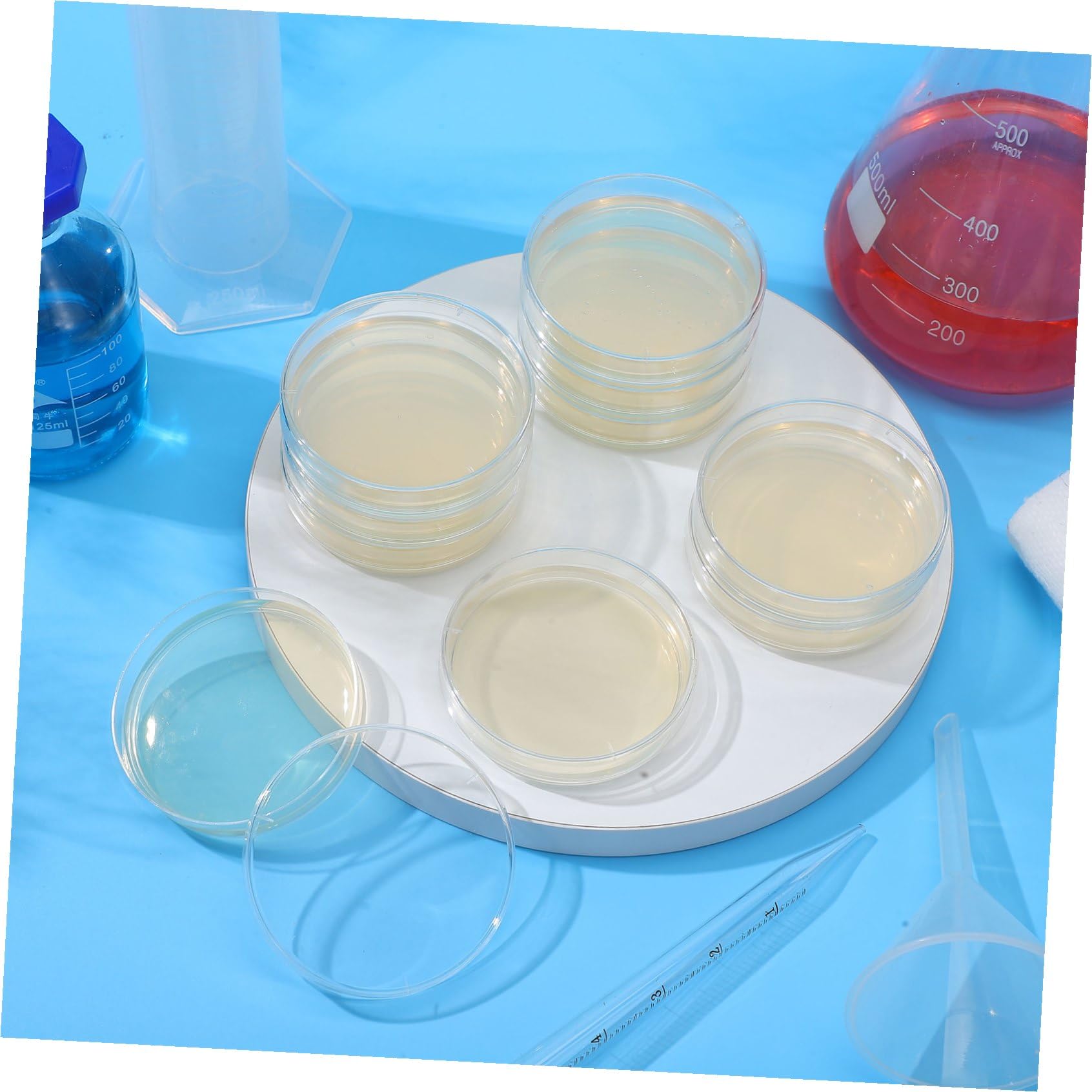 SEWACC 10 Vorgegossene 7cm Petrischalen mit Nähragarplatten aus Agar für Naturwissenschaftliche Experimente in Schule Einfach zu Verwenden für Schüler