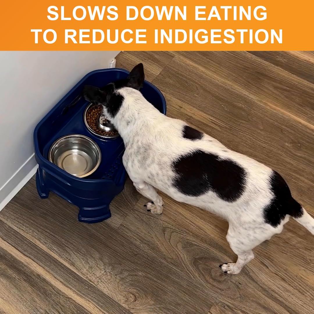 Neater Pet Brands Stainless Steel Slow Feed Dog Bowl for Fast Eating Small Breeds, Metal Slow Feeder Dog Bowl Fits in Cat & Small Neater Feeders, for Puppy or Dogs (< 15 lbs), 3/4 Cup Food Capacity - image 4