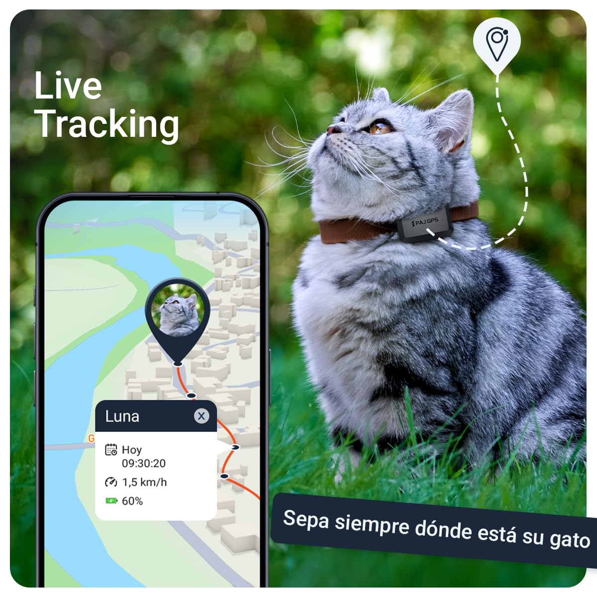 PAJ Localizador GPS Mini para Gatos, Incl. 3 Meses de Suscripción Premium | Tamaño reducido - Seguimiento en Vivo/Alarmas de Fuga - Compatible con Collares y Arneses - Impermeable - Alertas en App