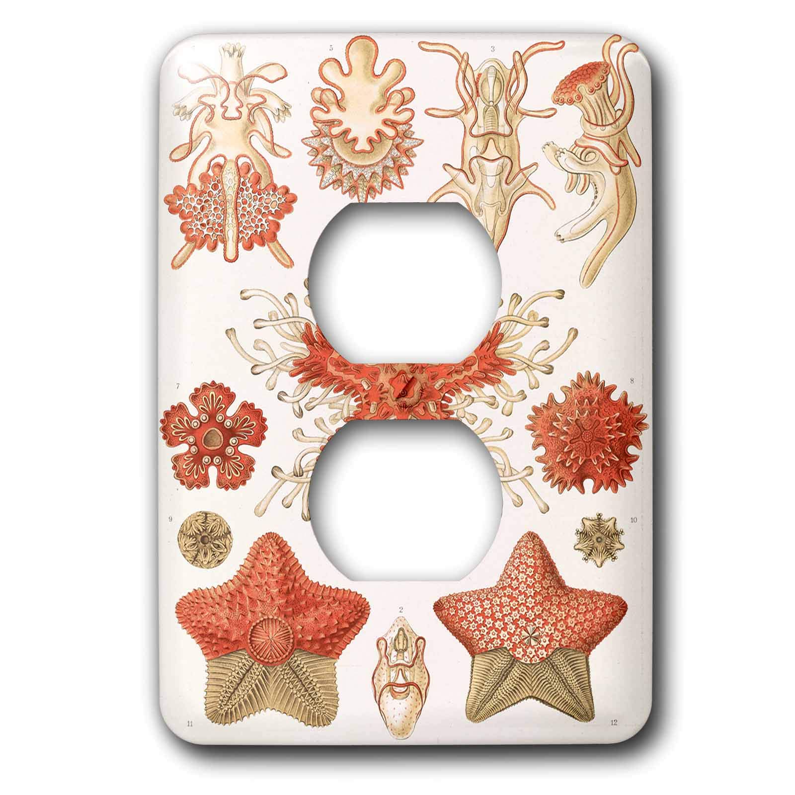 Placa para interruptor 3dRose lsp_307839_6 decorativa y resistente para pared de salón