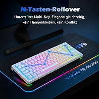 TECURS Wireless Mechanikus Gamer Billentyűzet 80% TKL QWERTZ Piros Switch RGB 7
