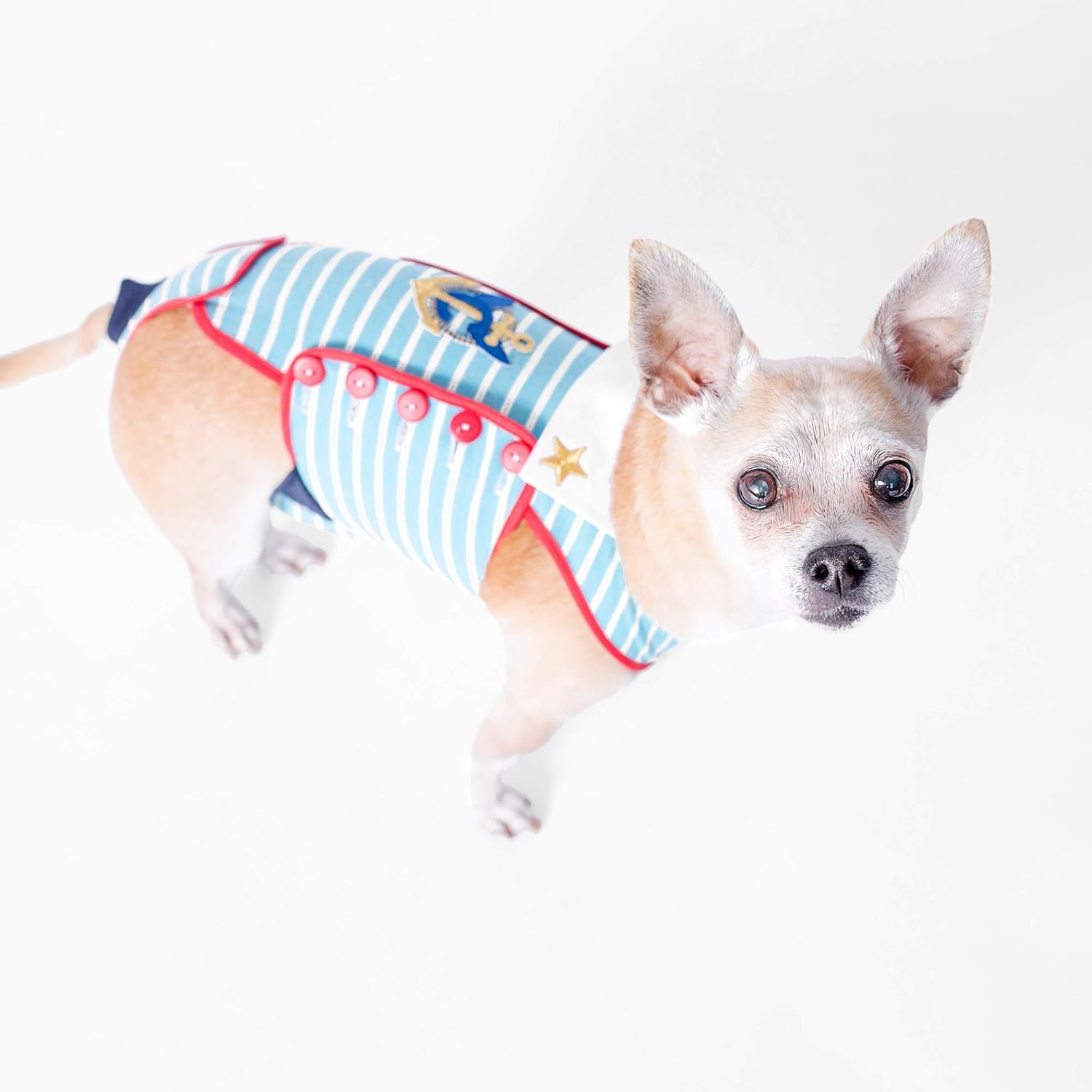Anchors Aweigh! Designer Full Body Onesie Dog Diaper Created to Hygienically Absorb and Contain Urine (Small, Multi-Color)