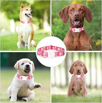 Cute Dog Collars for Small Dogs, Girl Dog Collars with Daisy Flowers, Adjustable Comfy Soft Pet Collar with Safety Buckle for XS Small Medium Large Dogs (Black, L)
