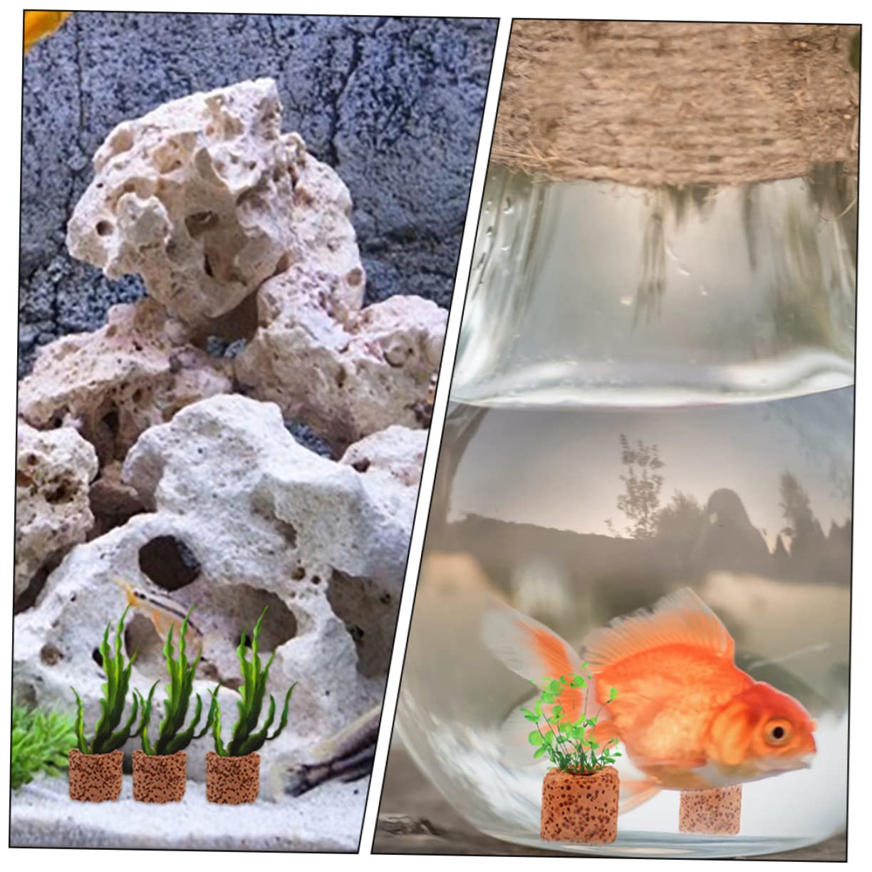 40 Piezas Anillo De Fijación De Césped Acuático Pesas para Plantas De Anillo Fijo para Plantas Acuáticas Soporte Pesado Subacuáticas Base Fija Decoración De