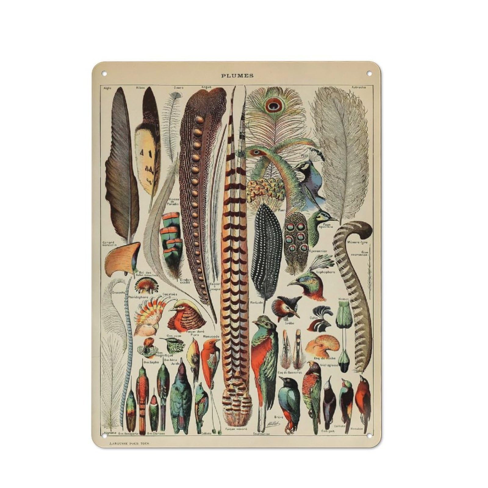 Junmoney Style-20 Tin Wall Plaque 40X30cm With Vintage Feathers For Hallway Wall, Suited To Hallway Decor Lovers, For Retro Home Interiors