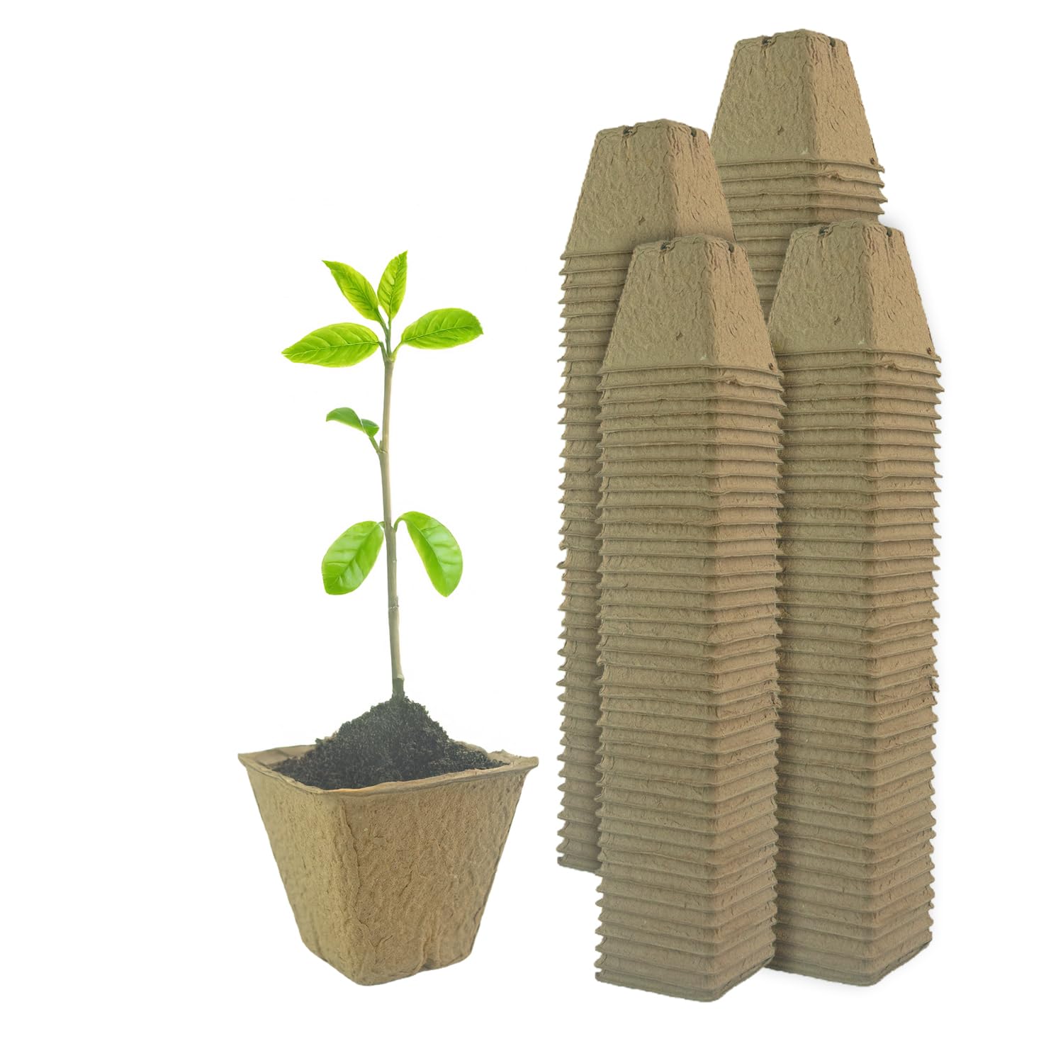 Woodside Brown 160 Pack Compostable Plant Pots 6Cm – Biodegradable Paper Seedling Pots, Eco Friendly Garden Growing Pots