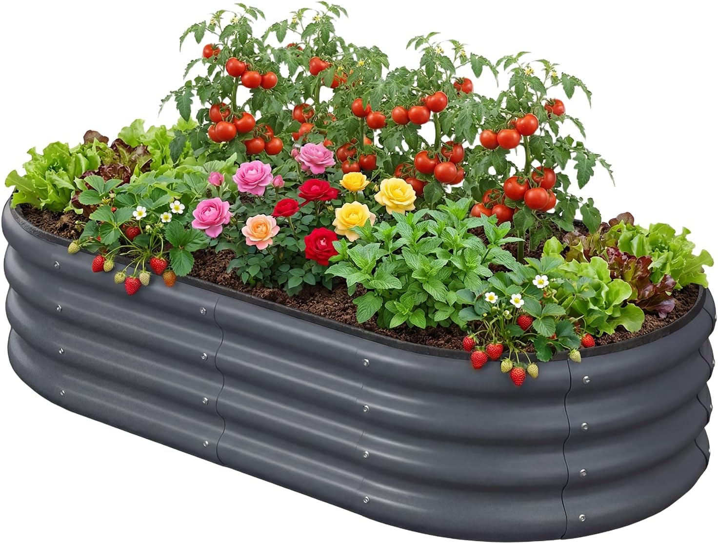 4x2x1 FT Oval Metal Raised Garden Bed, Elevated Garden Planter Box Outdoor, Trough Planter for Outdoor Plants, Flower, Vegetables, Fruit, Herbs (Dark Gray, 1PC)