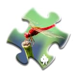 80 puzzles Dragonfly Jigsaw Puzzles