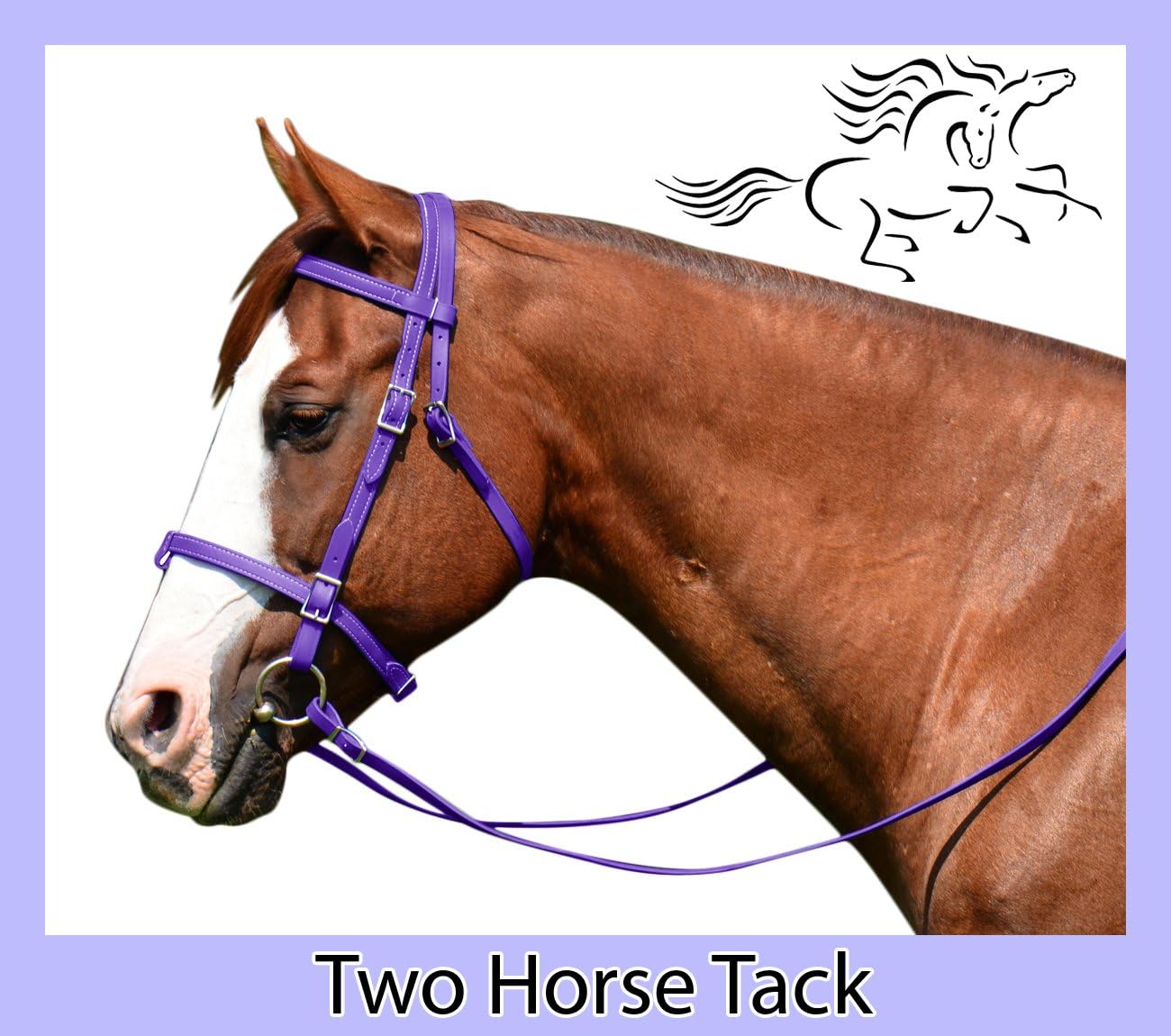 English Bridle & Reins, Made From Beta Biothane - Horse Size, Purple Color