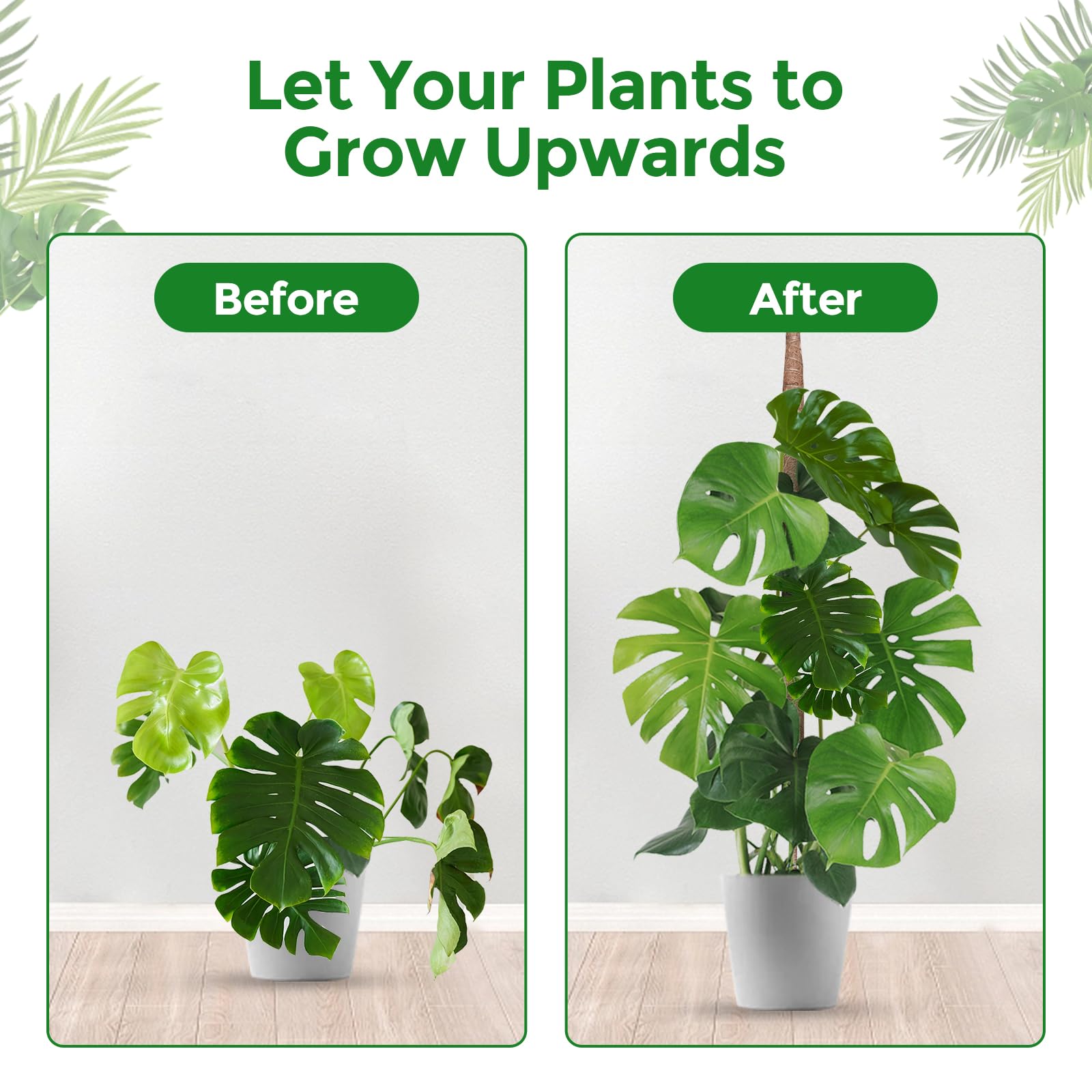 Amazon.co.jp: 植物モンステラ用曲げ可能なモスポール、屋内でのつる