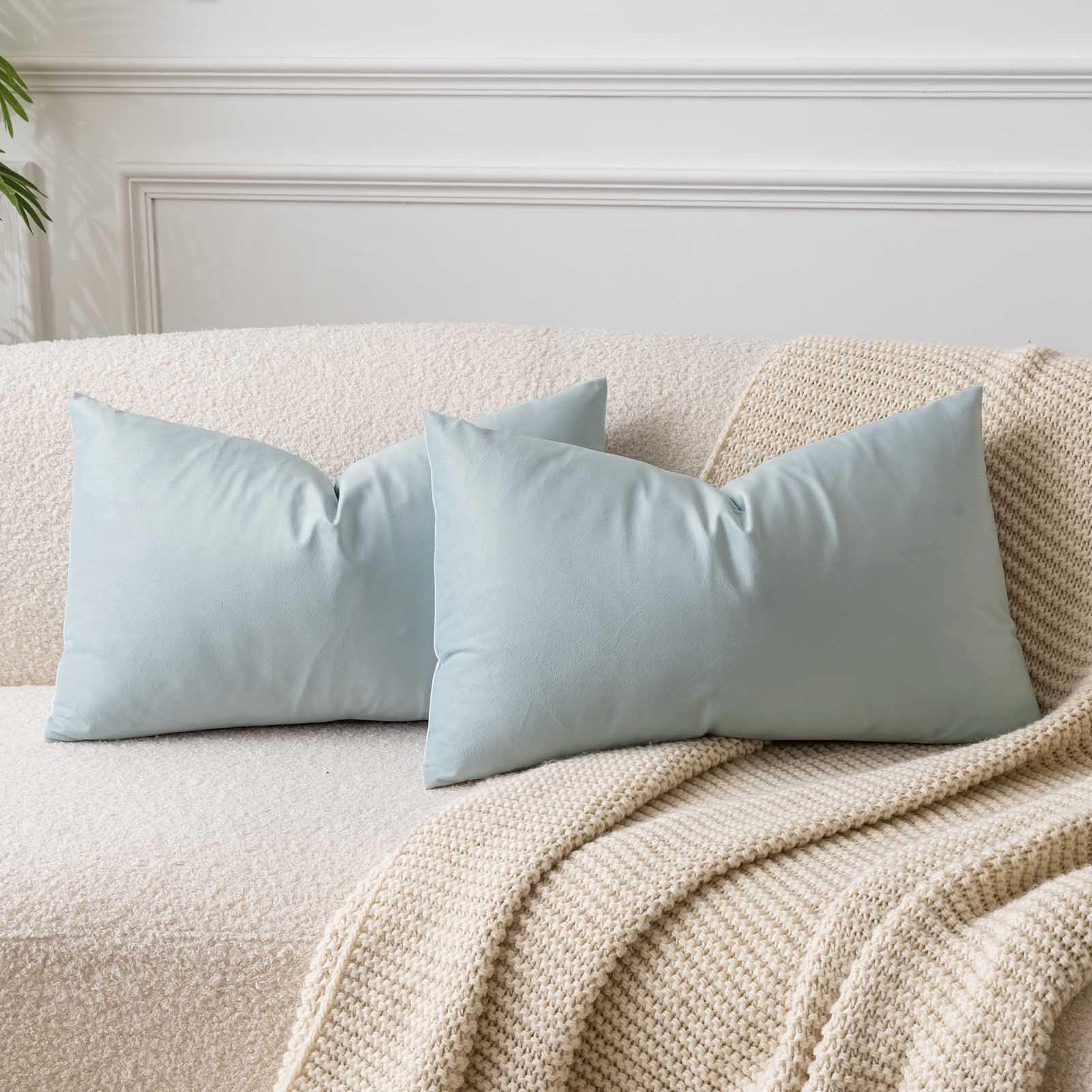 JUSPURBET Powder Blue 24x16 inch Pillow Cover Set of 2 Decorative Rectangular Lumbar Velvet Throw Cushion Cases for Living Room Sofa Bedroom Soft Durable Premium Velvet Fabric — image 1