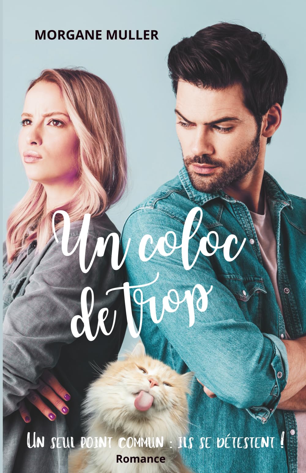 Un coloc de trop
