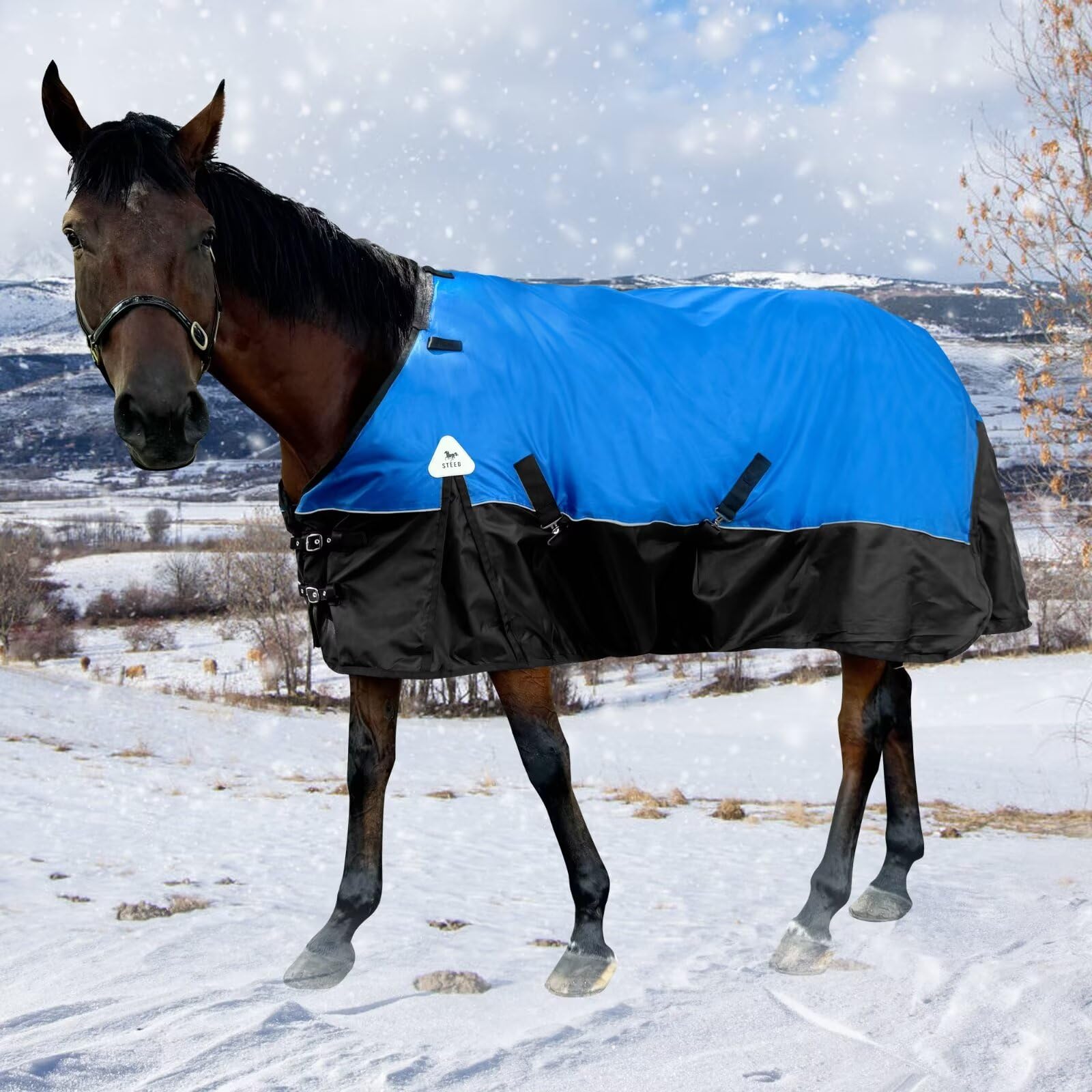 Manta para caballos, sábana gruesa impermeable con cubierta de cuello desmontable, exterior de nailon 1600D, relleno pesado de 400 g, azul (EE. UU. 81 pulgadas (UE 155 cm)