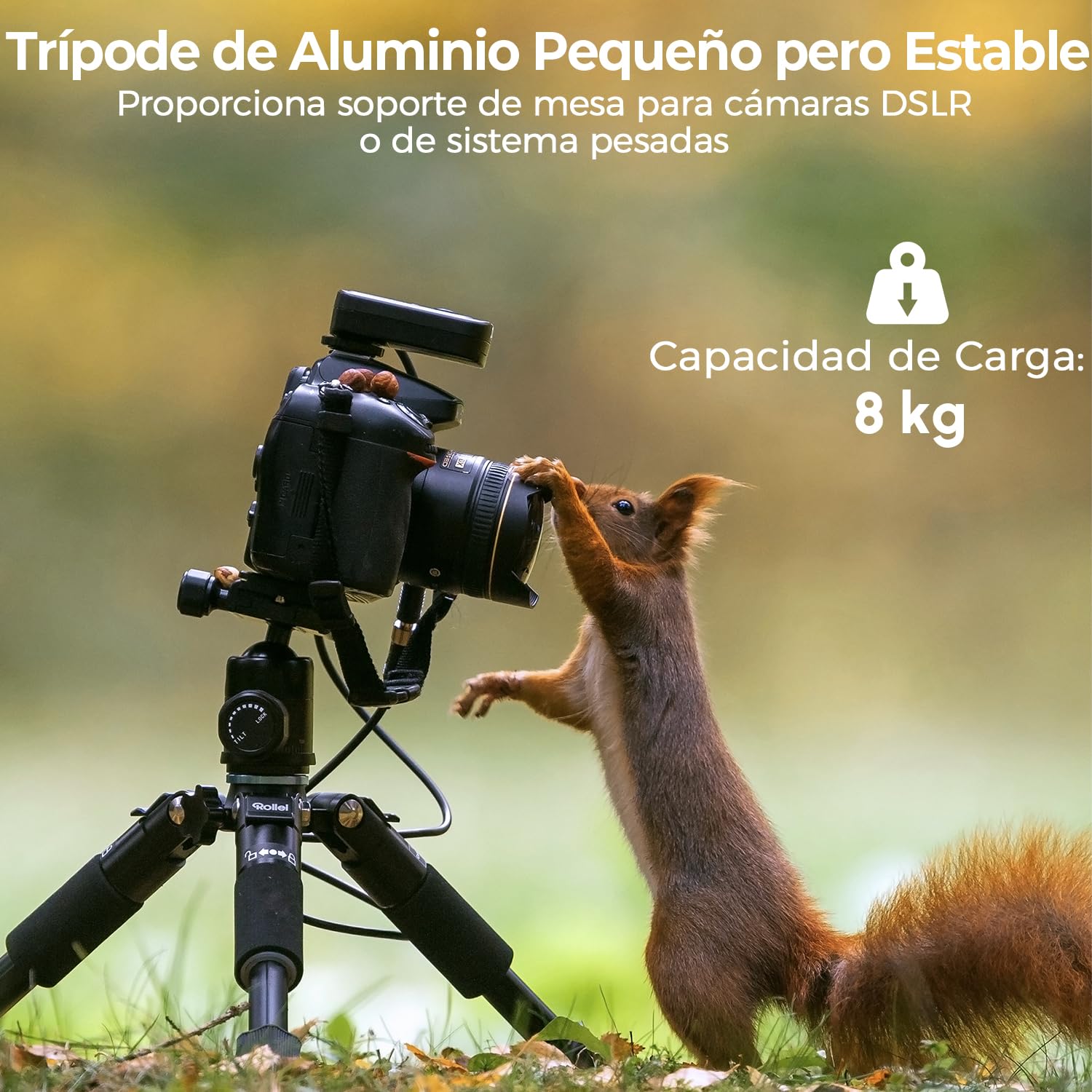 Rollei Mini Tripode Camara en Aluminio 49cm Compact Traveler Mini M1 | Trípode Pequeño Ligero de Viaja con Cabeza Esférica Arca Swiss Minitripode Mesa Compacto para DSLR Negro Carga 8kg