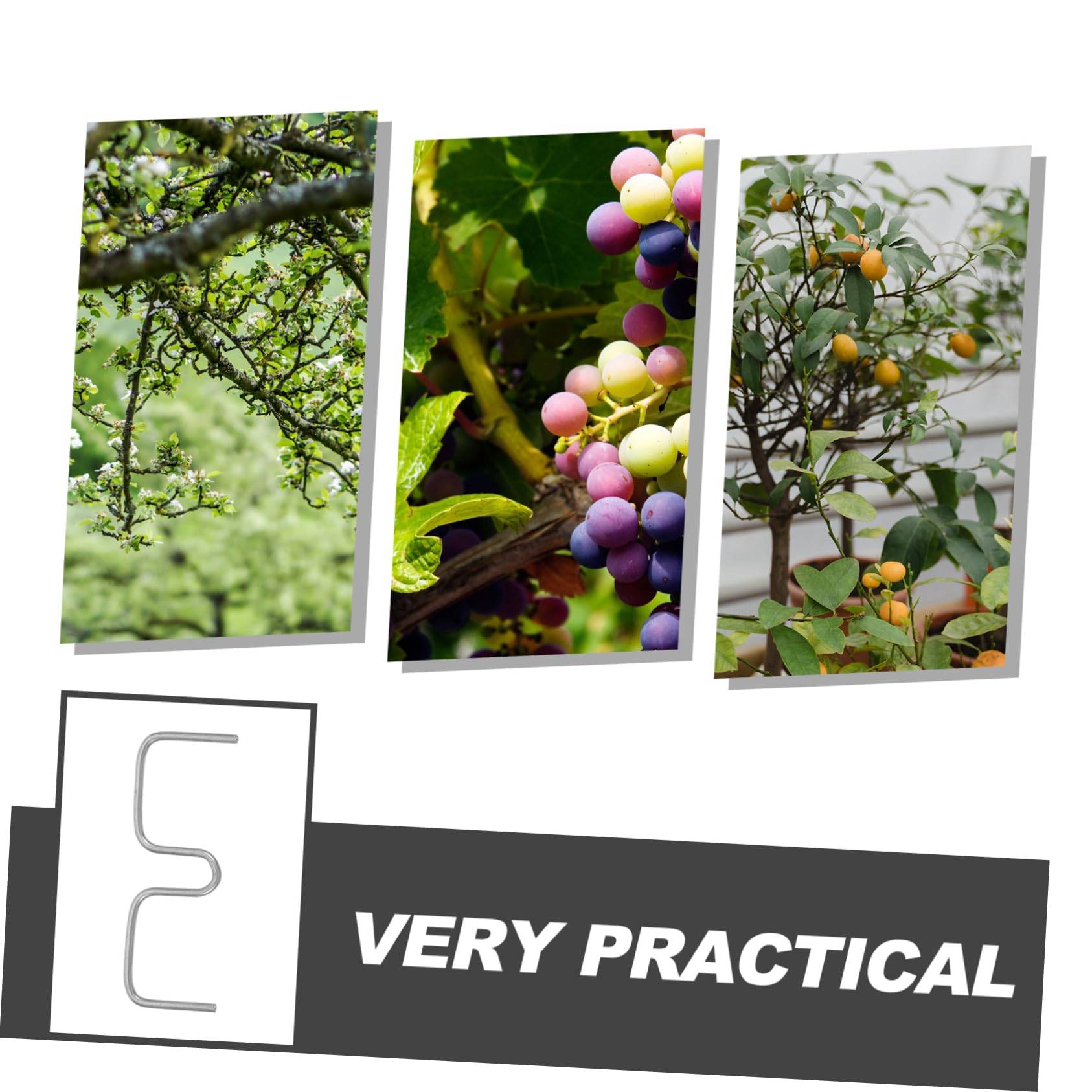 UPKOCH 3 Sätze Pflanzenzweig Bieger Pflanzenclips zur Formgebung von Pflanzenzweigen für Obstbäume und Verschiedene Pflanzenarten Langlebig und Wetterfest