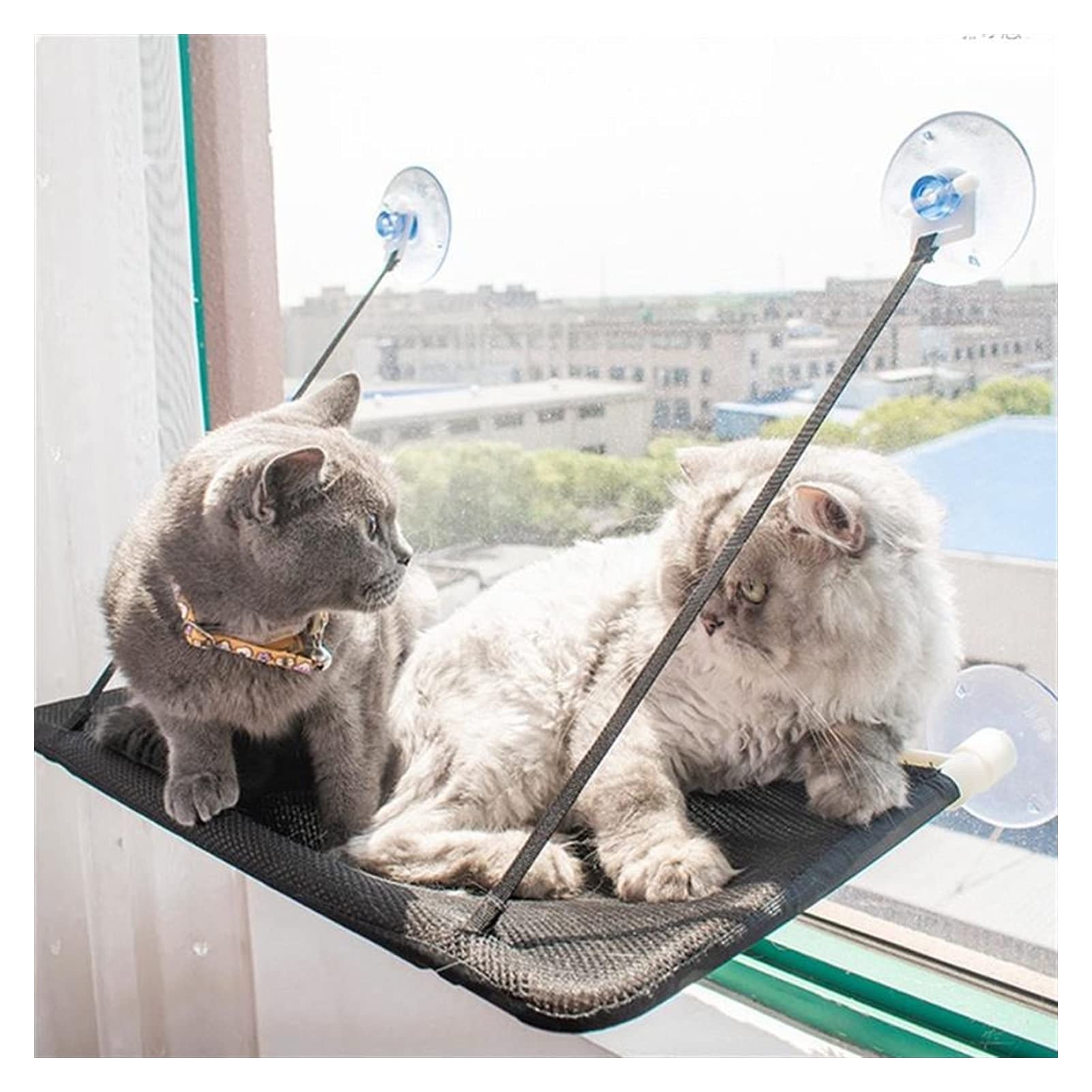 Hamac Chat/Perchoir à Chat Perche de fenêtre de chat, chat vitrine Hamac d'intérieur Espace intérieur Sauvegarde de la fenêtre de chat monté, for grand chat et chaton Hamac pour Animaux ( Color : Noir