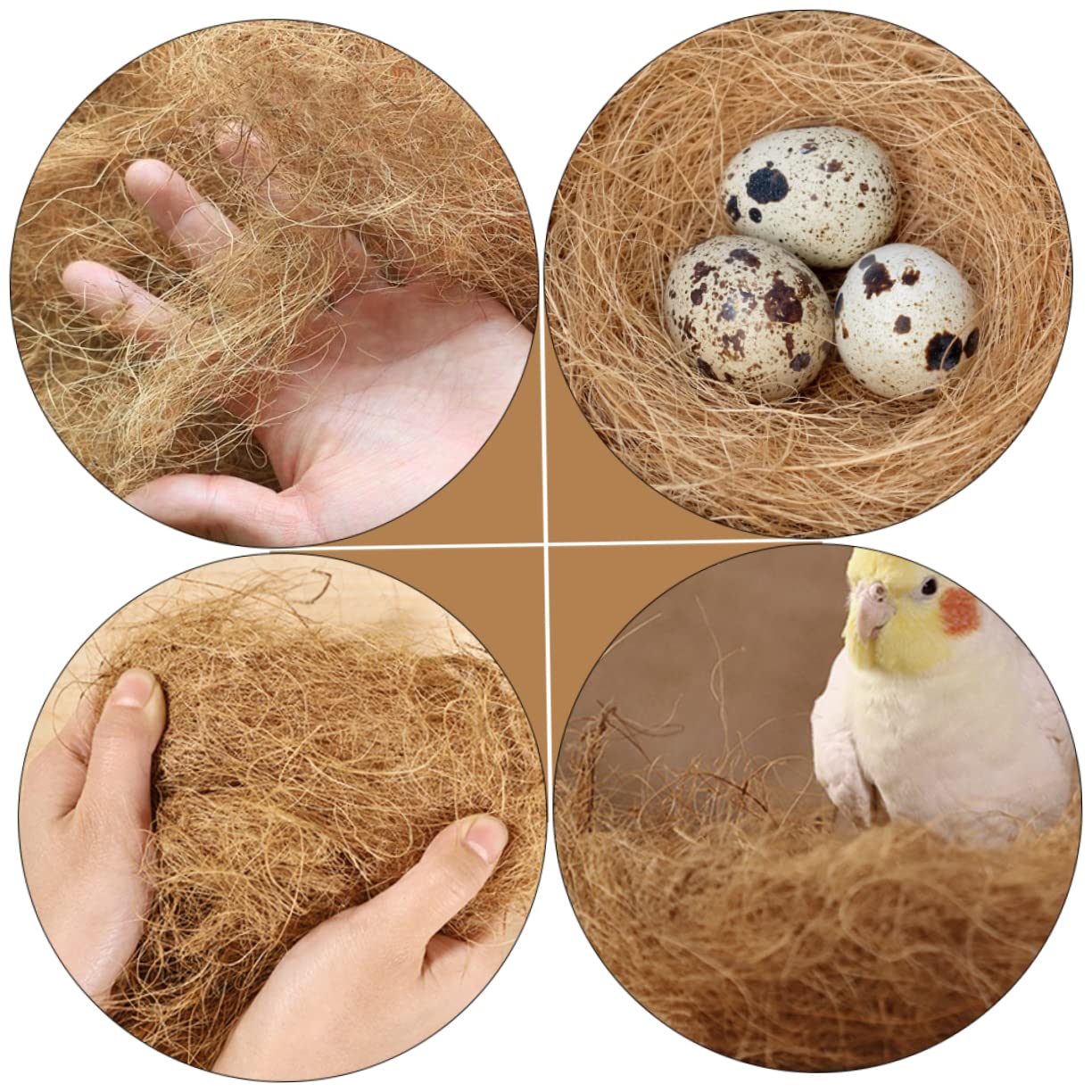 minkissy 2 szt. 1 hodowla brązowy jedwab palma kokosowa jedwab włókno kokosowe podłoże ptak gad, terrarium pościel kokos dla ptaków, zwierząt domowych, Excelsior, mała klatka dla ptaków, raczkowanie,