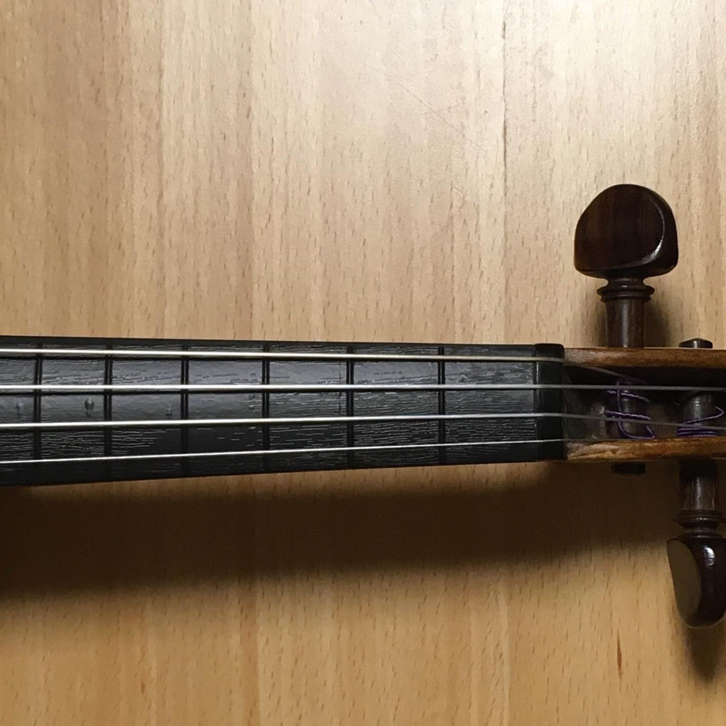 Amazon バイオリンフレットシール The Fiddle Fretter バイオリン4/4サイズ用 マークなし バイオリン