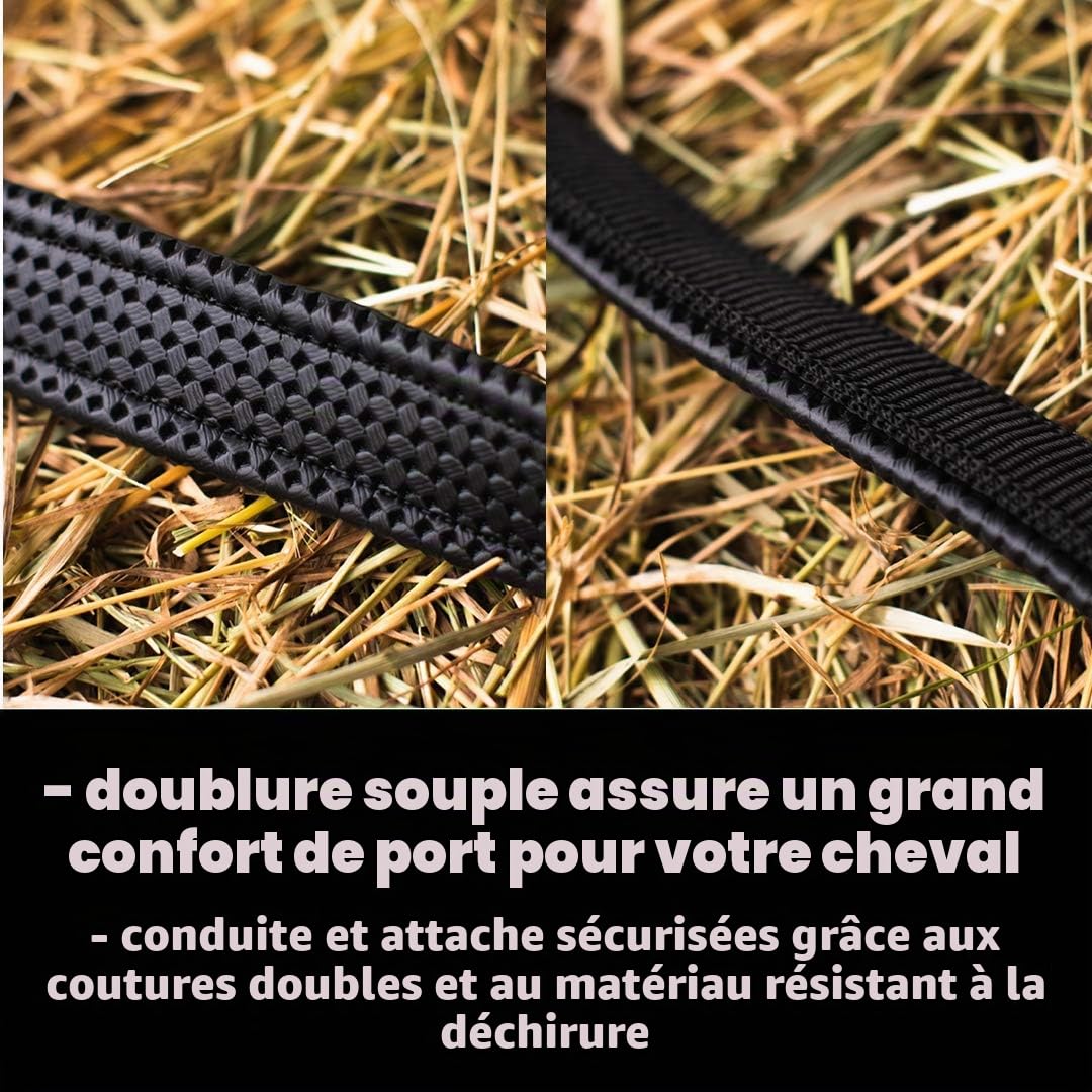 Pferdelinis Licol pour Warmblut, Vollblut, Kaltblut, Pony – Licol d’écurie, licol de pâturage, boucles à ardillon réglables 2 fois, sûr et résistant (Noir, Vollblut (Cob))