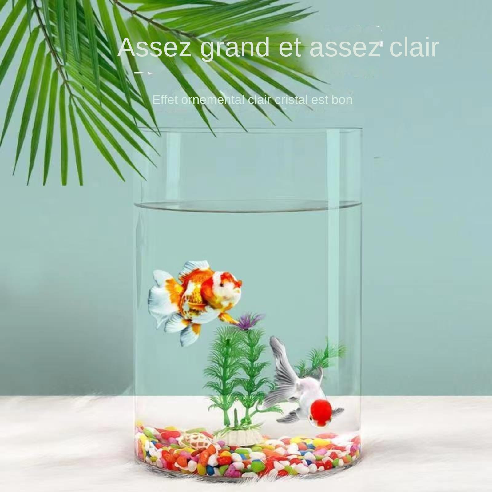 Acuario de Cristal Transparente, Pequeño Ecológico, Grande cilíndrico para Tortugas, accesorios, for Peces Rojos,Acuario Recto de Vidrio Cilíndrico Transparente