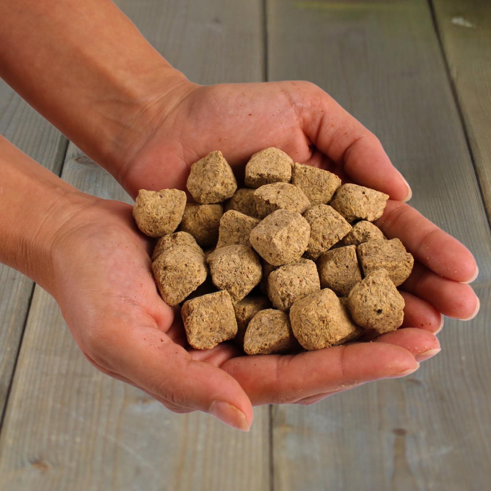 Lyra Pet® 5 kg Artemia Würfel gefriergetrocknet in 30 L Tonne Fischfutter | Futter aus Salinenkrebsen - Reich an Proteinen, Fetten & Ballaststoffen - Natürliche Nahrung für Zierfische & Reptilien