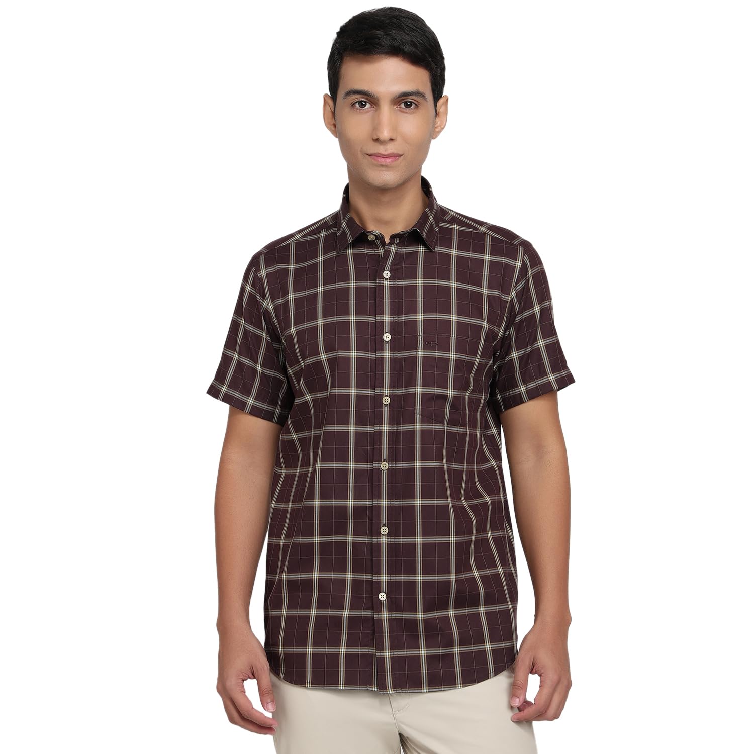 Men Regular Fit Checks Pattern Pure Cotton Plain Collar Half Sleeve Casual Shirt-image-36