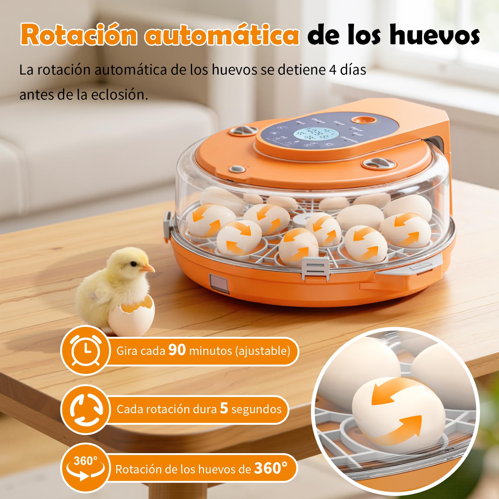 Incubadora Automática para 15 Huevos, Modelo Mejorado con Volteo Automático, Control de Humedad y Temperatura, y Luz de Mira para Patos, Gallinas, Gansos, Palomas y Codornices
