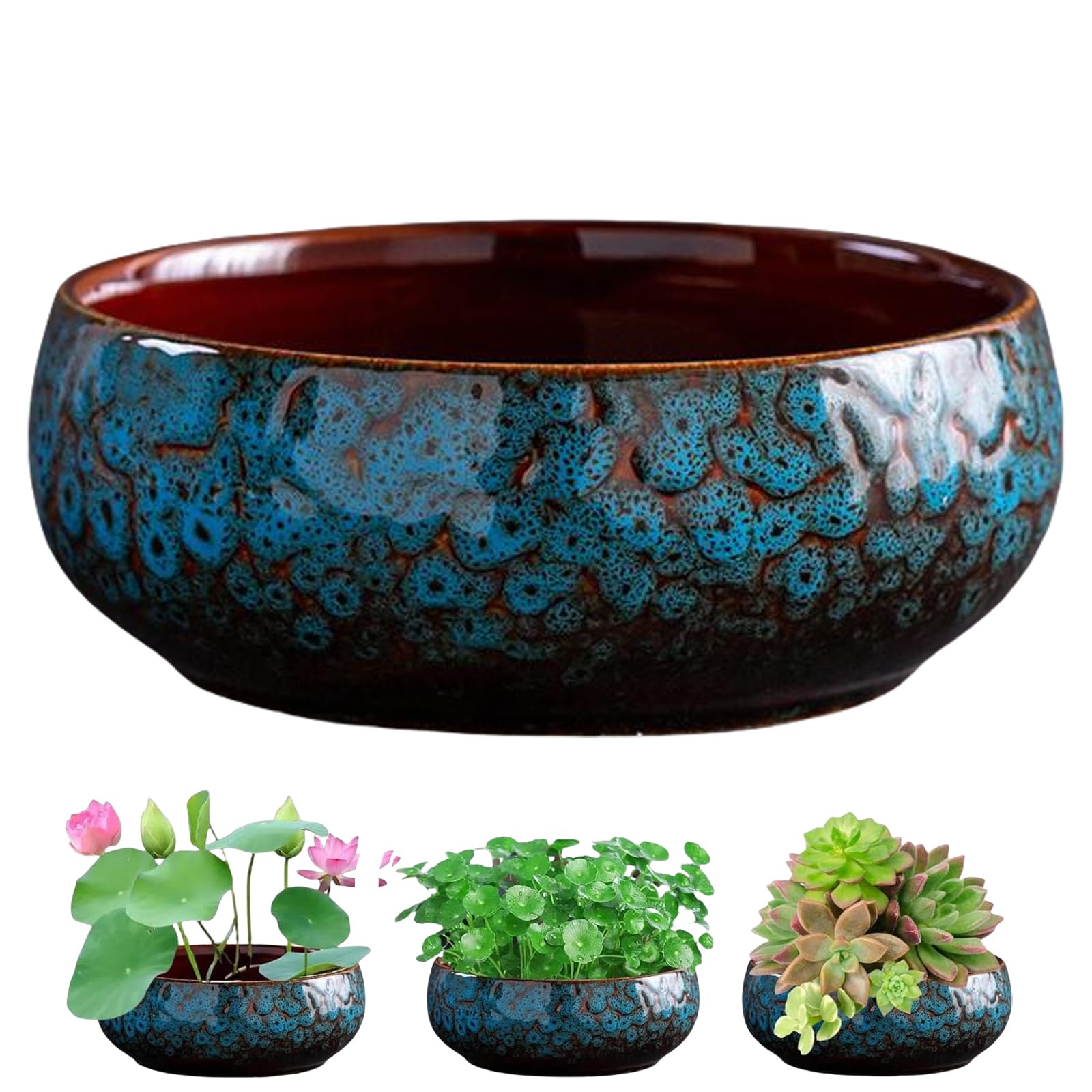 Lotus Bowl Planter, Lotus Bowls for Planting in Water Indoors, Bonsai Bowl Lotus Flower Seeds Pot, Indoor Hydroponic Planter Decor, White Hydroponic Flower Pot (C)