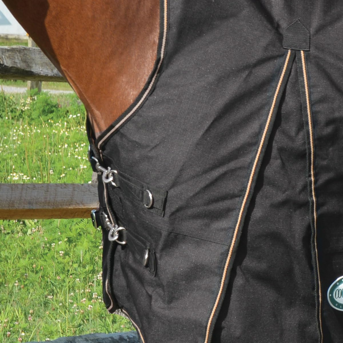 Country Pride Paladin High Neck Turnout Sheet, Waterproof Breathable Horse Blanket, 1200D Cordura Durable Shell, Extended Neck and Shoulder Gussets, Adjustable Double Buckle Front (74)