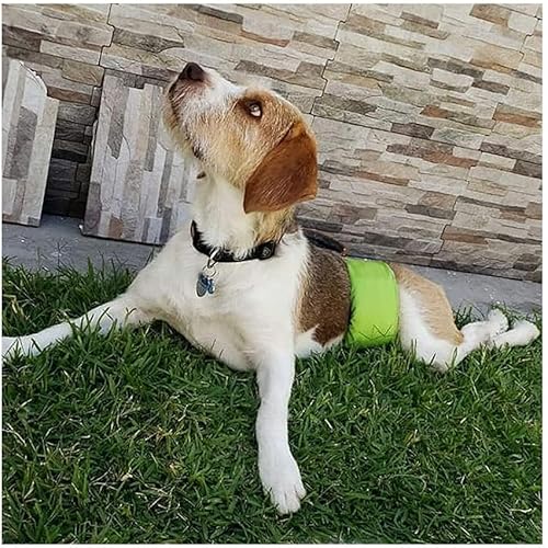 Miniatura 6 de Pañales lavables y reutilizables para perros machos, materiales duraderos, lavables a máquina, almohadillas para cachorros para orina de perros,