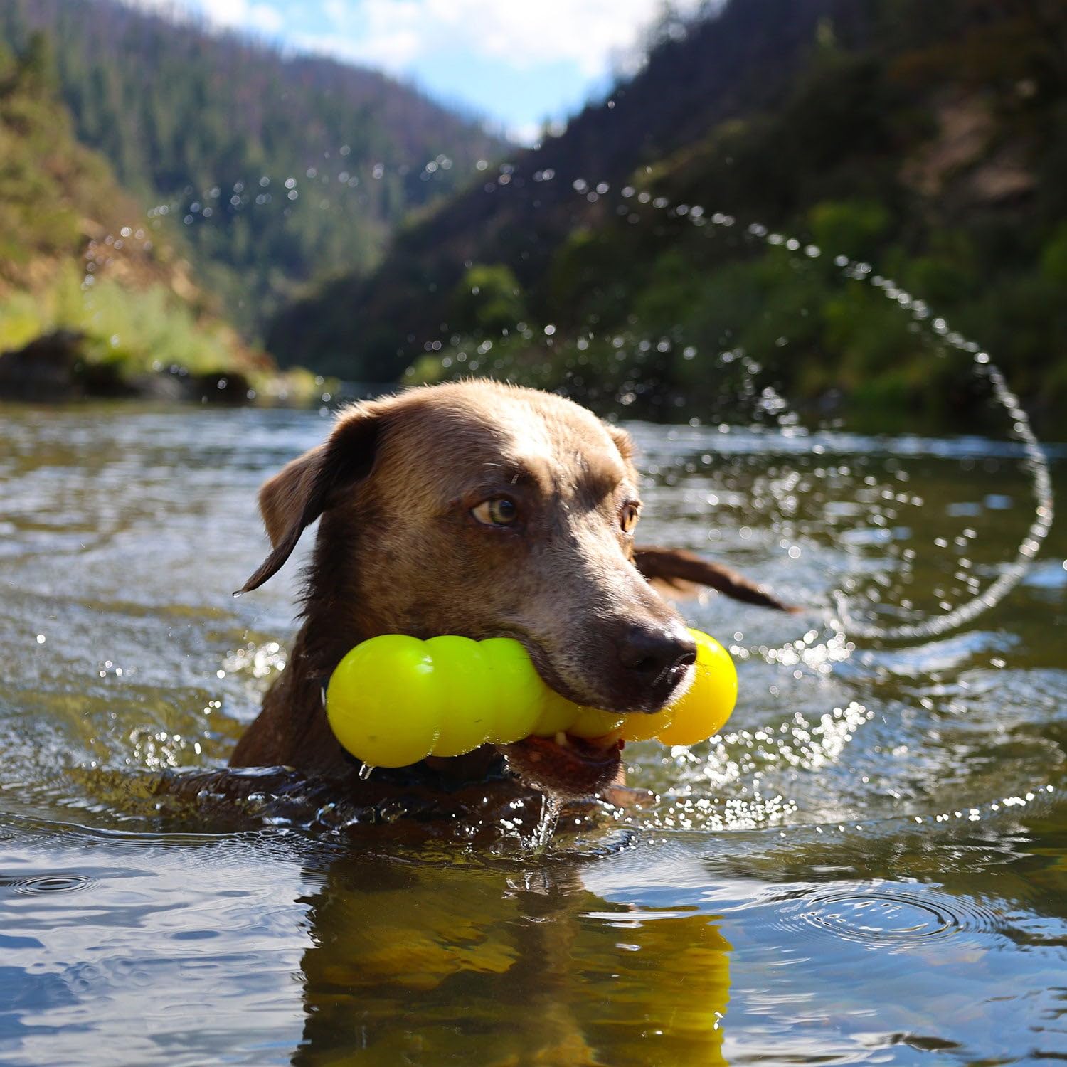 Ruff Dawg Dawg-Buster Kauspielzeug für Hunde, 20,3 cm, schwimmt, Vollgummi