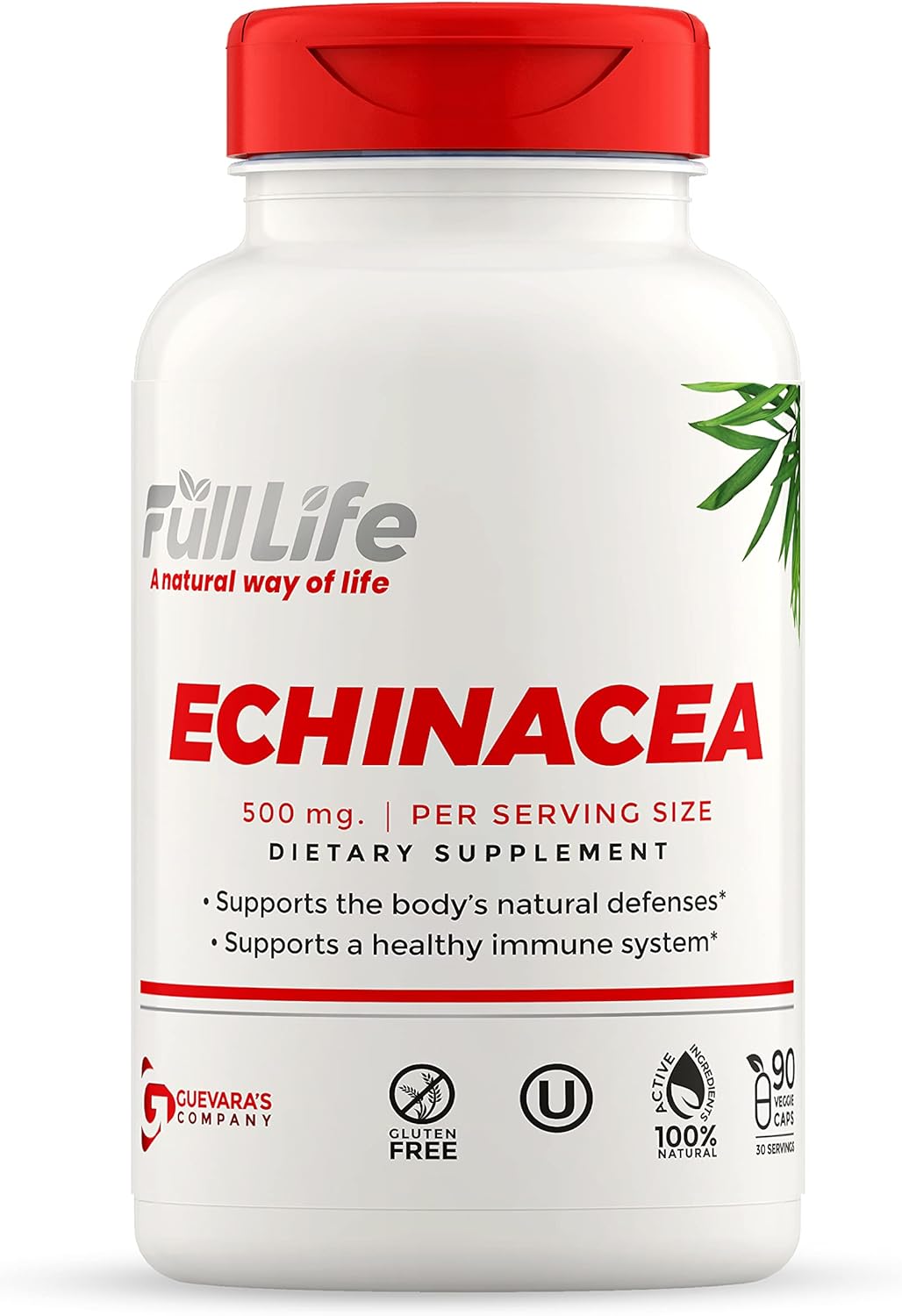 Full Life Echinacea Capsules – Herbal Dietary Supplements – Immune Support Supplement – Echinacea Purpurea Pills for Women and Men -Kosher, Gluten Free – 90 Veggie Capsules