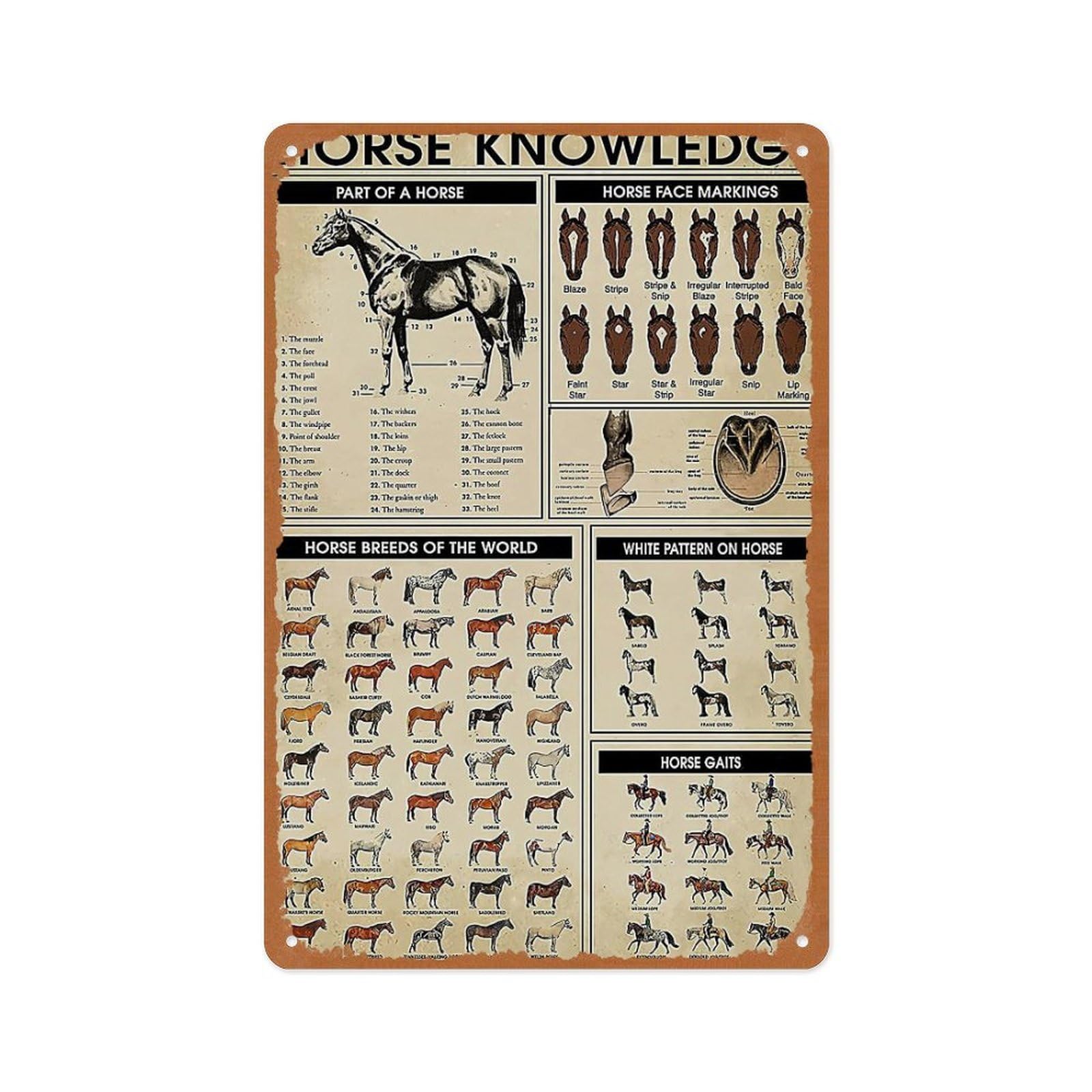 peiyeety Metal Tin Sign - Horse Knowledge - Vintage Retro Poster Metal Plaque, for Home Bar Kitchen Pub Wall Decor Signs 12x8 Inch