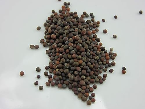 UPC0764425788942 - Semillas de coliflor, mezcla de brócoli (Brassica oleracea) 1306-Rainbow Blend UPC0764425788942 Sin OMG, orgánico, plantas disponible en Yaxa Costa Rica