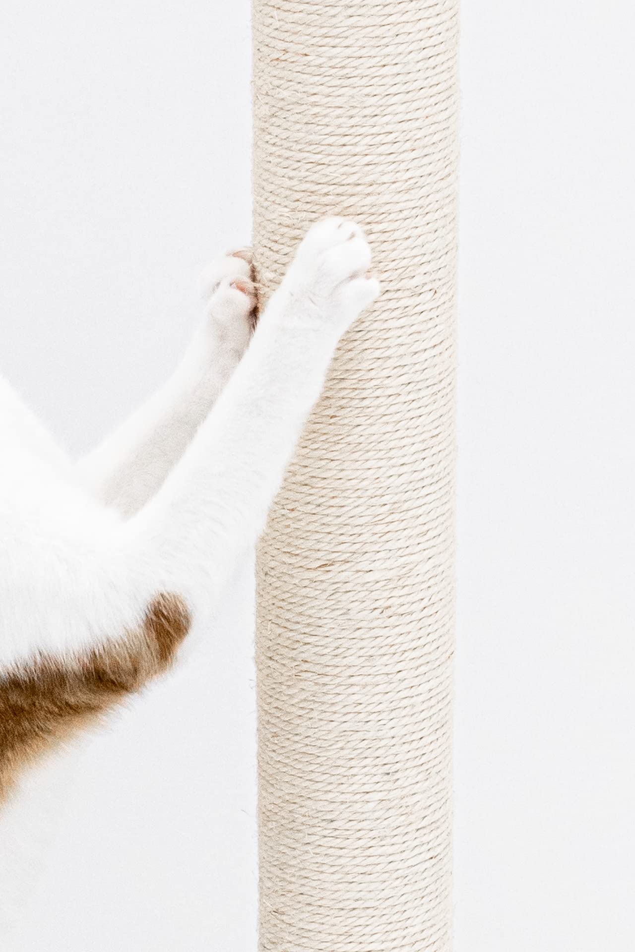 Tiragraffi Per Gatti Petrebels - Altro 110 Cm, Diametro 45 Cm, Nero, Con Sisal E Cuscino Lavabile