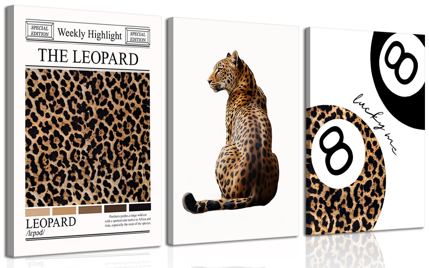 Amazon.com: Set of 3 Trendy Leopard Canvas Wall Art Funky Lucky 8