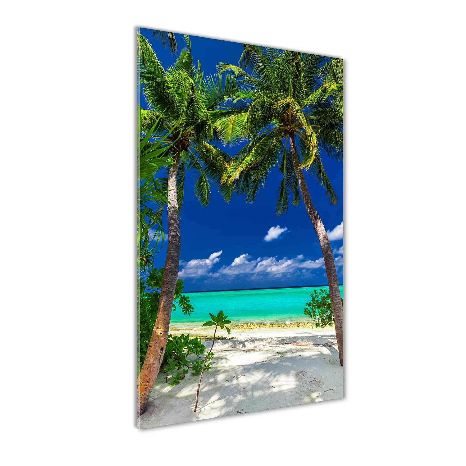 Tableau en verre 60x120 cm Tulup paysage de plage tropicale verte premium