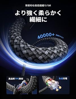 CCCリクエスト12枚 ナンバーマウント /パンアメリカ