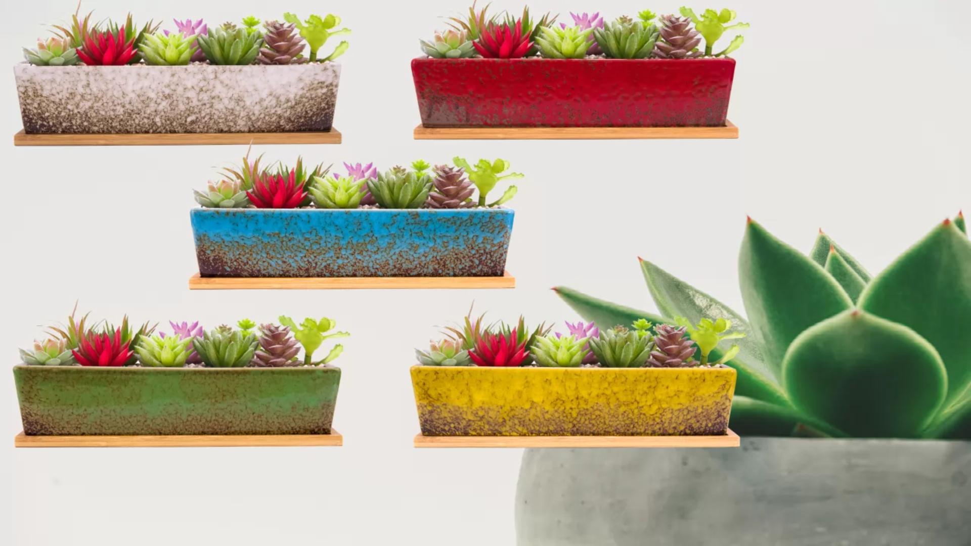 Amazon.com: ARTKETTY Succulent Pots - 12.1 Inch Large Succulent