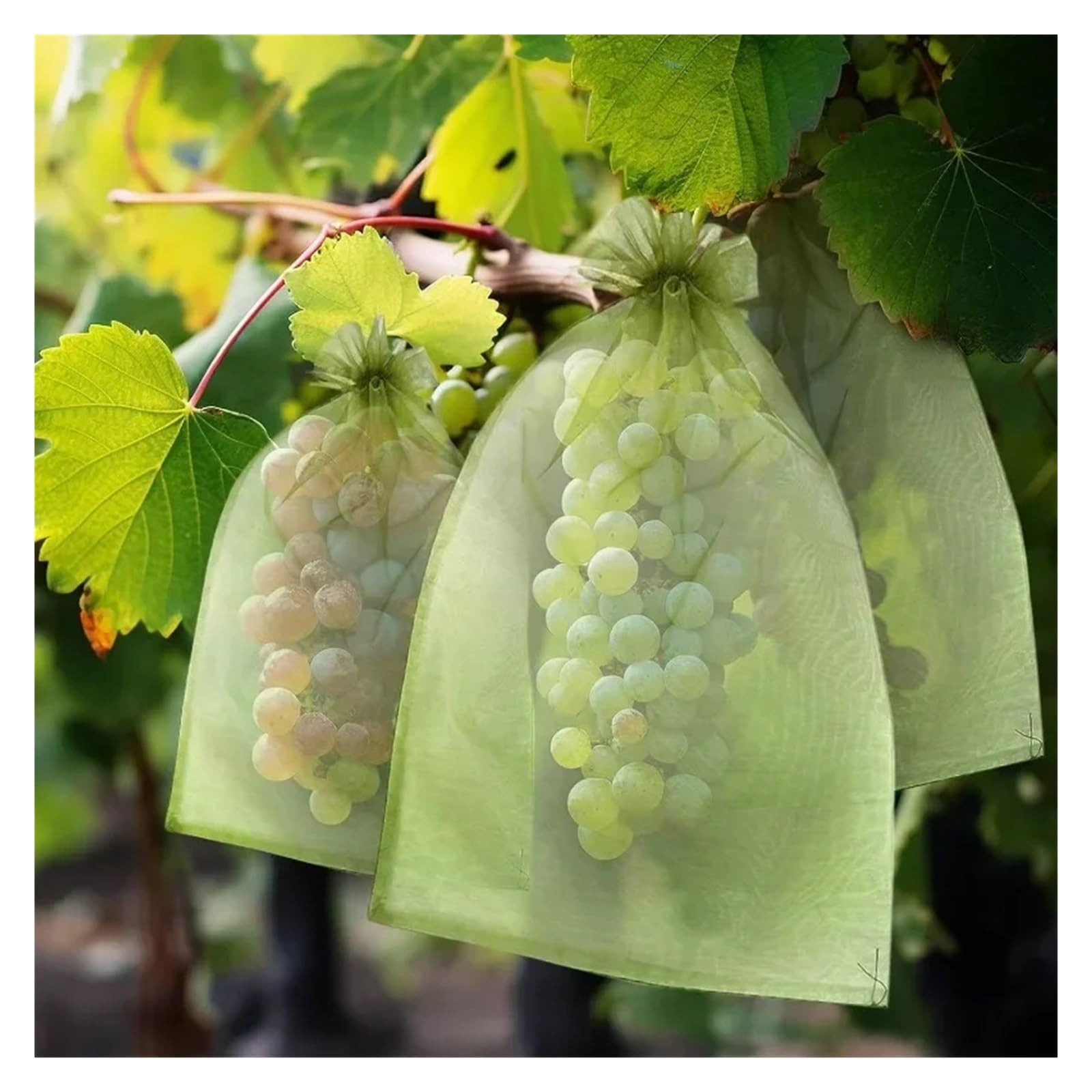 Bolsas de protección frutas con cordón, malla a prueba insectos, cubiertas barrera contra plagas, reutilizables for árboles, plantas, suministros jardín | Green 20x30cm,10PCS