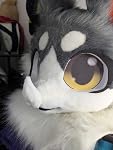 Review Image by Rabidplush