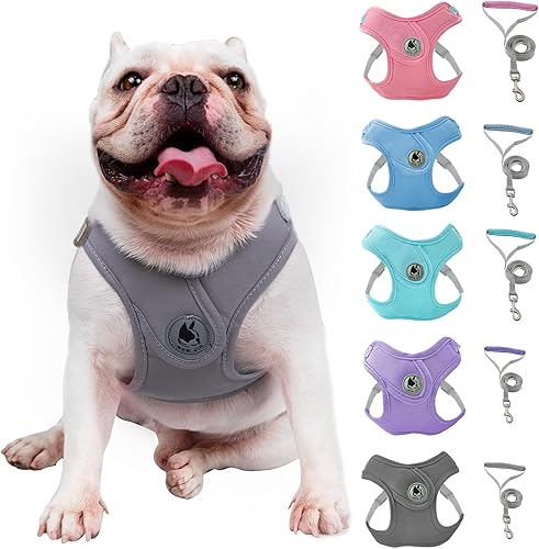 Arnés para perro con correa, arnés sin tirones para mascota con 1 clips para correa, chaleco acolchado suave ajustable para perros pequeños y