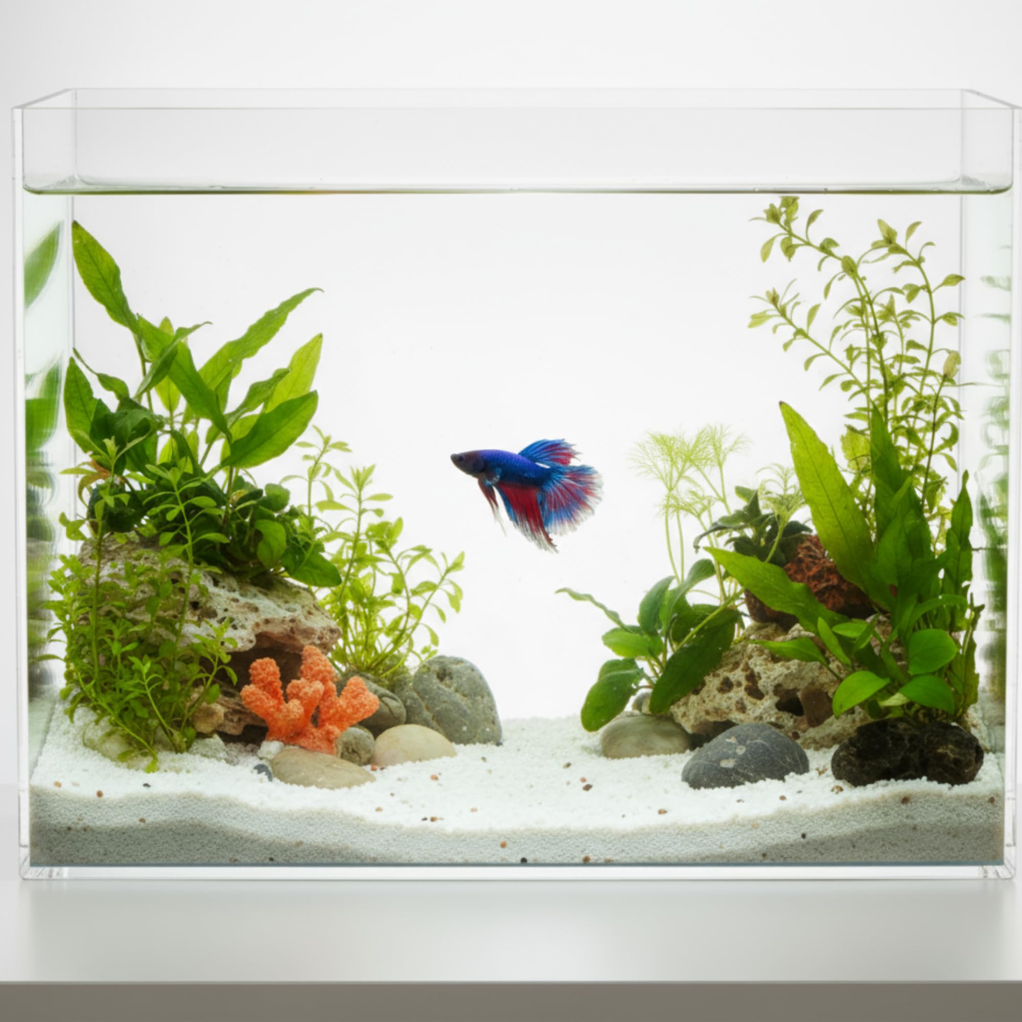 Aquarium en acrylique avec tapis, pour élever des poissons Betta, des poissons rouges, des escargots, des serpents, des crevettes et des plantes aquatiques, facile à entretenir