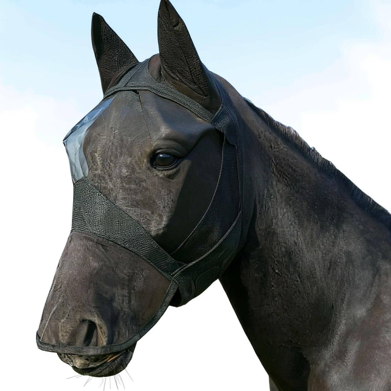 Pferde-Fliegenmaske mit Ohren, schwarzes Design, atmungsaktives Mesh, robuster Oxfordstoff, sicherer Sitz, Abdeckung von Ohr bis Nase, Gesichtsumfang, für Outdoor-Reiten