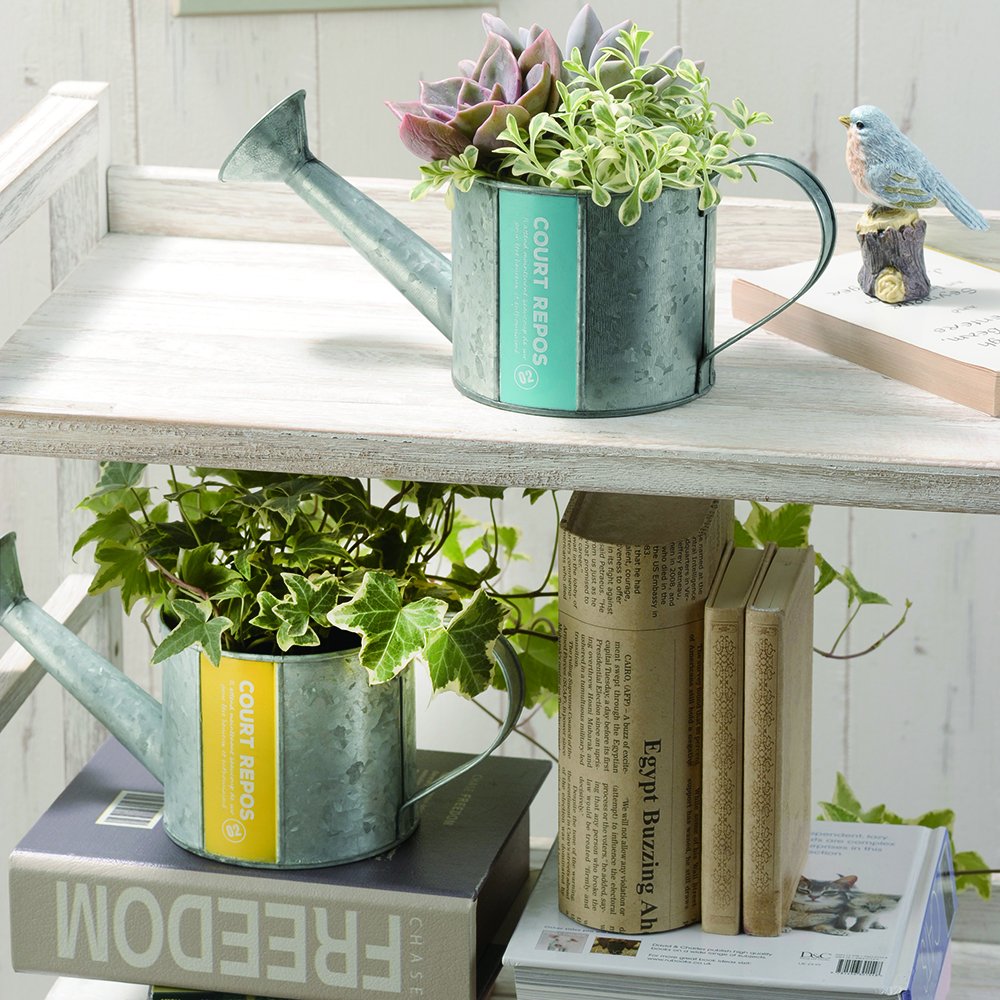 Amazon | GREENHOUSE カラーアクセントブリキ ジョーロ レッド 1個
