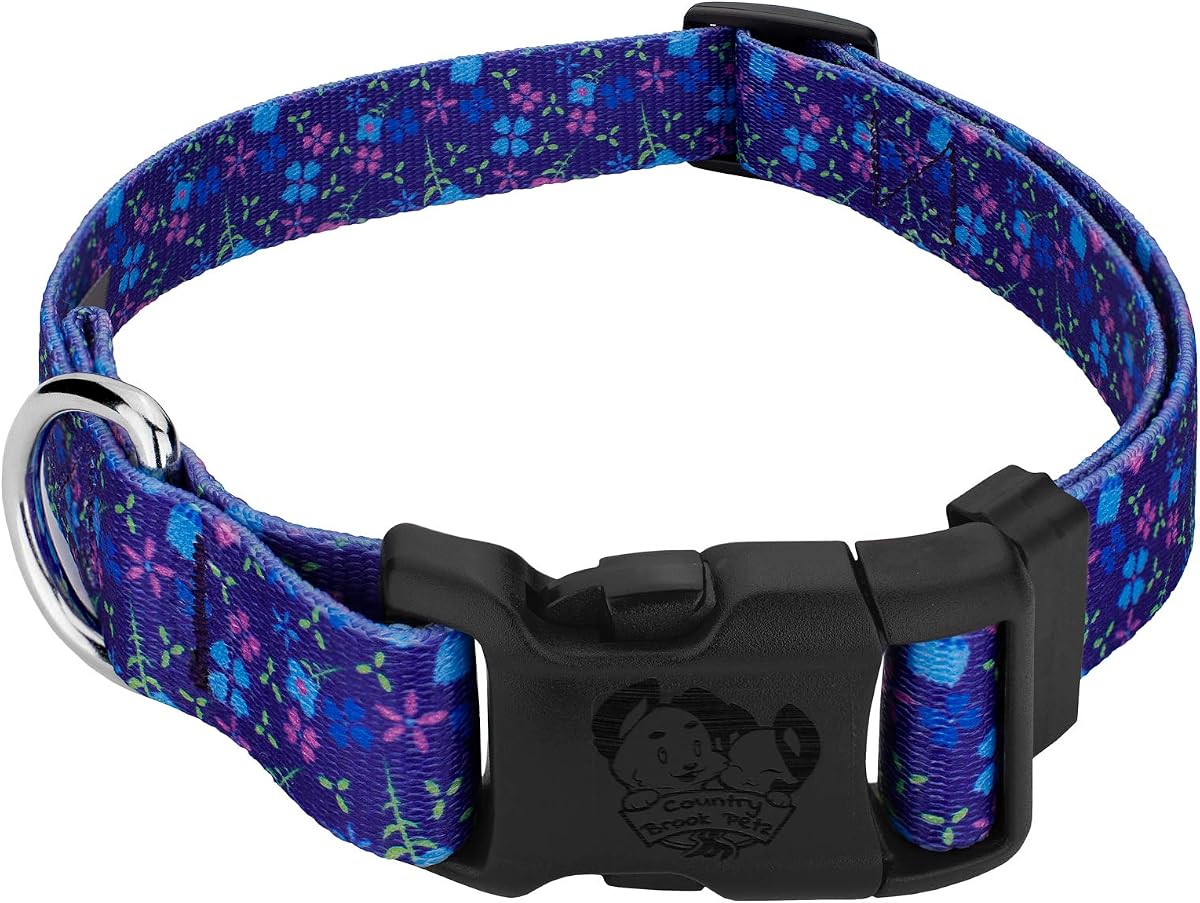 Country Brook Petz - Blueberry Fields Everyday Dog Collar - Made in The U.S.A. - Floral Collection Featuring Charming Designs (1 Inch, Medium)
