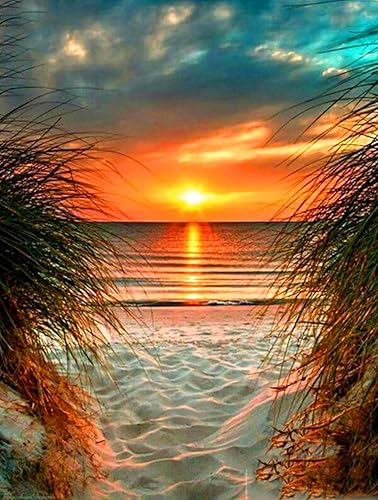 ROOHOME Kits de arte de diamantes de playa para adultos 5D DIY taladro completo océano puesta de sol kits de pintura de diamantes para