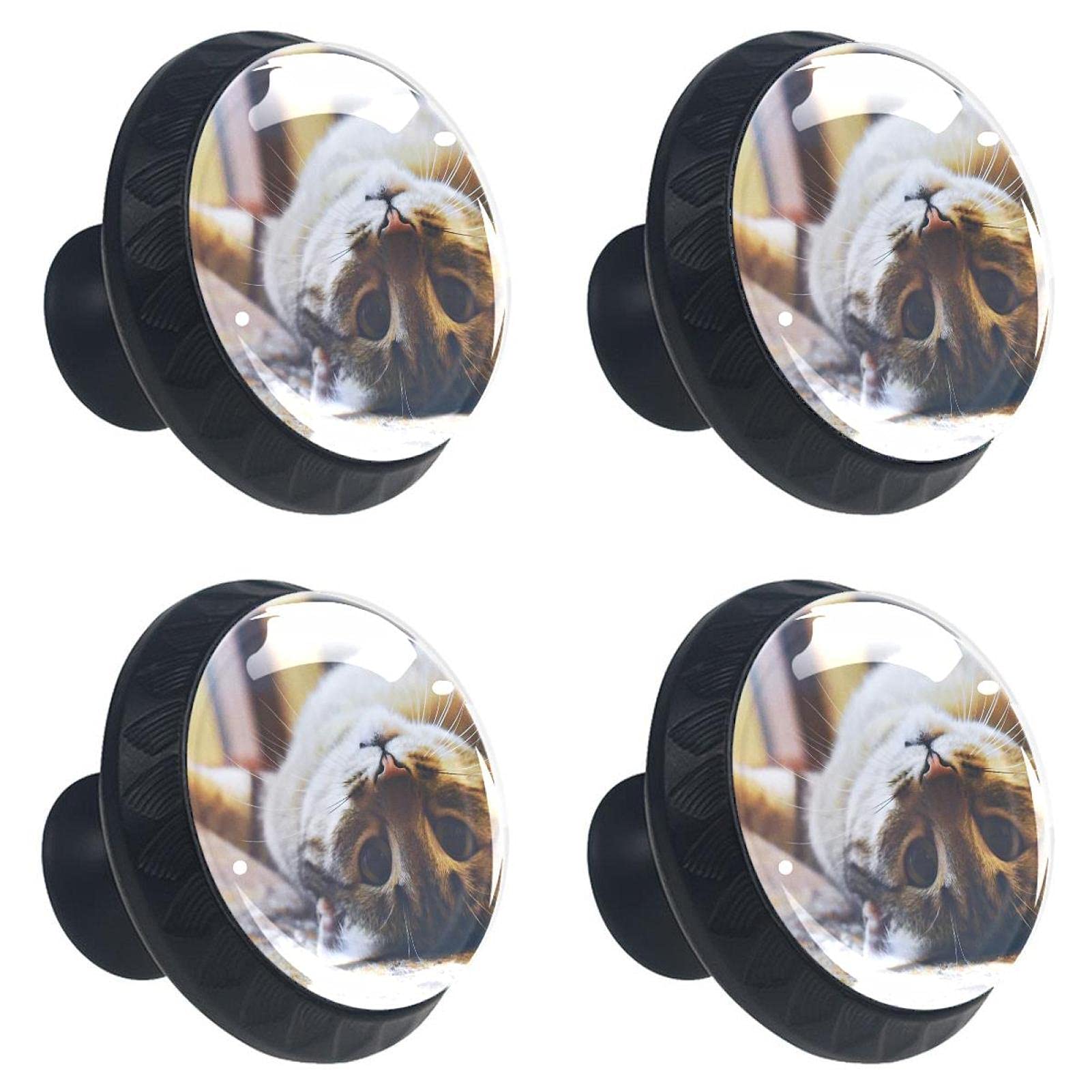 Poignées d'armoire chat British Shorthair boutons de porte de meuble haut de gamme
