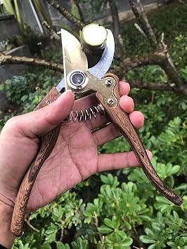 Gartenschere Pflanzenschere aus japanischem SK4-Stahl Garden Shears für die Gartenarbeit Heavy Duty Trauben Kräuter Rose Blume Bäume Gras Schere Professional Pruning Shears